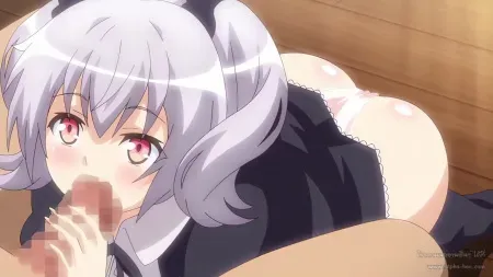 Hanime Night Tail ตอนที่ 1 ซับไทย แปลไทย