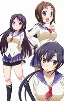 Okusama ga Seitokaichou! 2