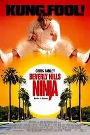 Beverly Hills Ninja ตุ้ยนุ้ยนินจาฮากลิ้ง (1997)