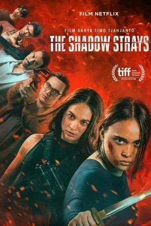 The Shadow Strays นักฆ่าเงาล่าทรชน (2024)